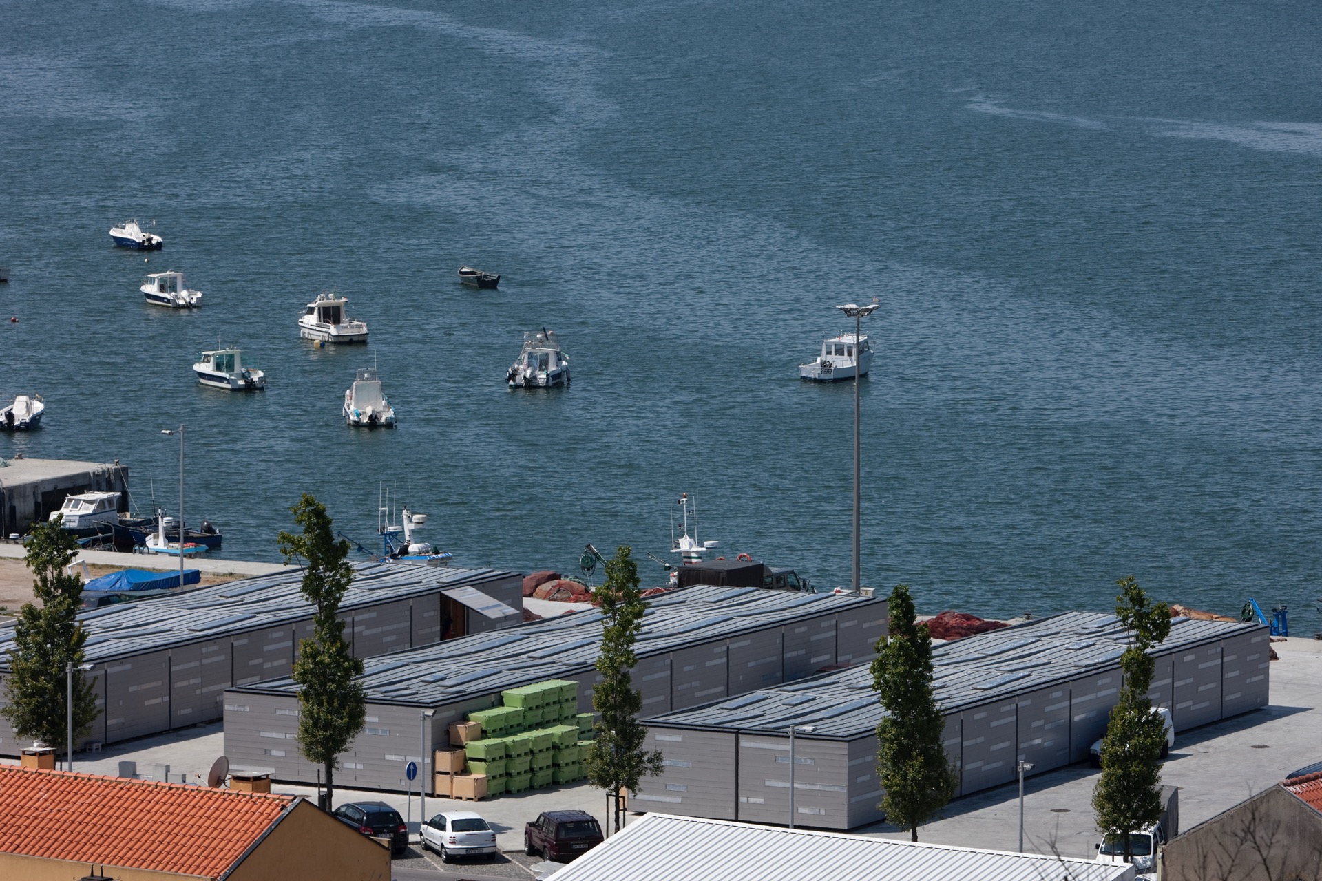 P163_LFA%20 %2024.jpeg