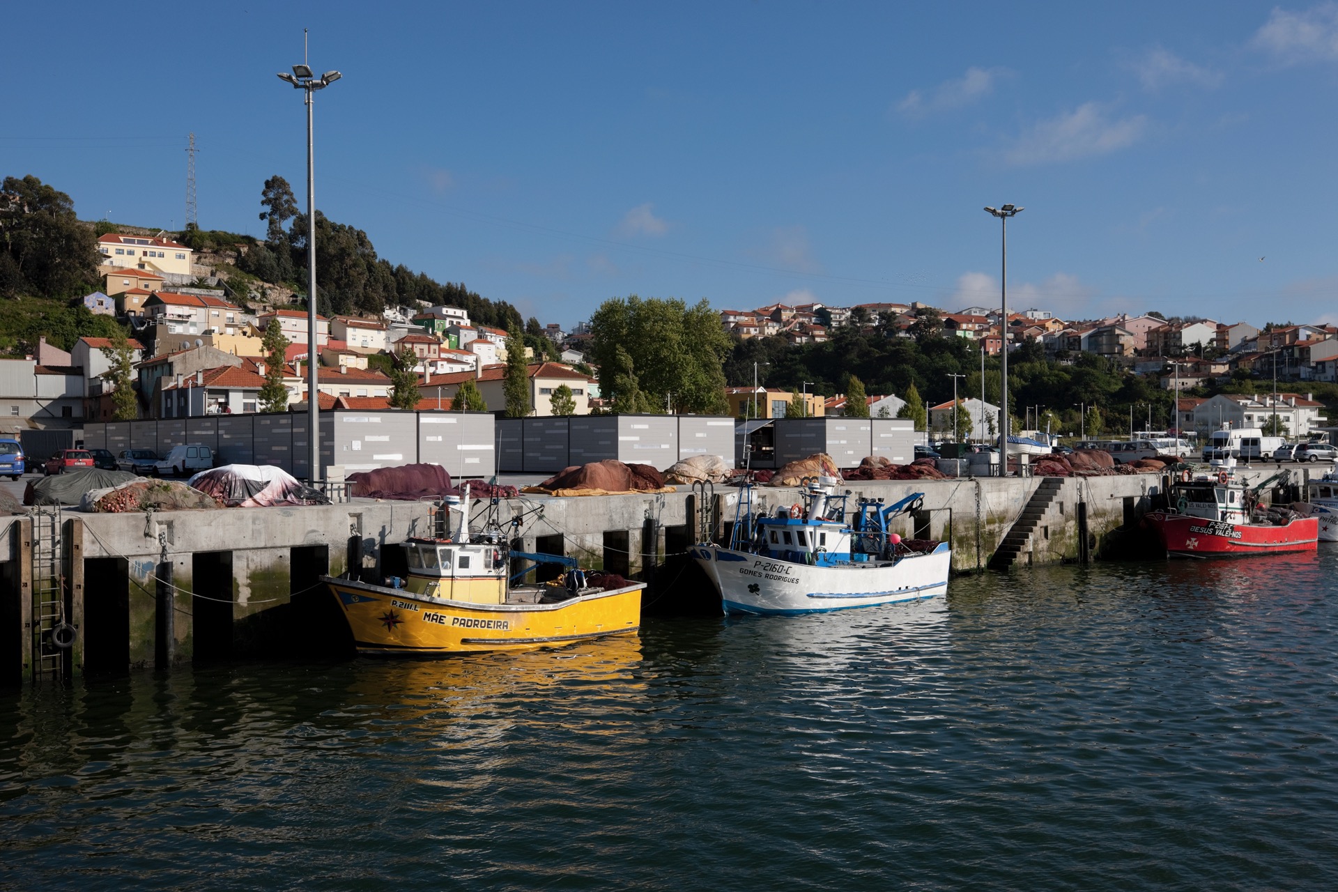 P163_LFA%20 %2024.jpeg