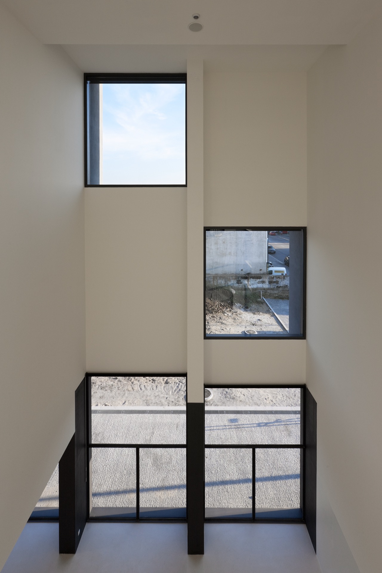 P163_LFA%20 %2024.jpeg