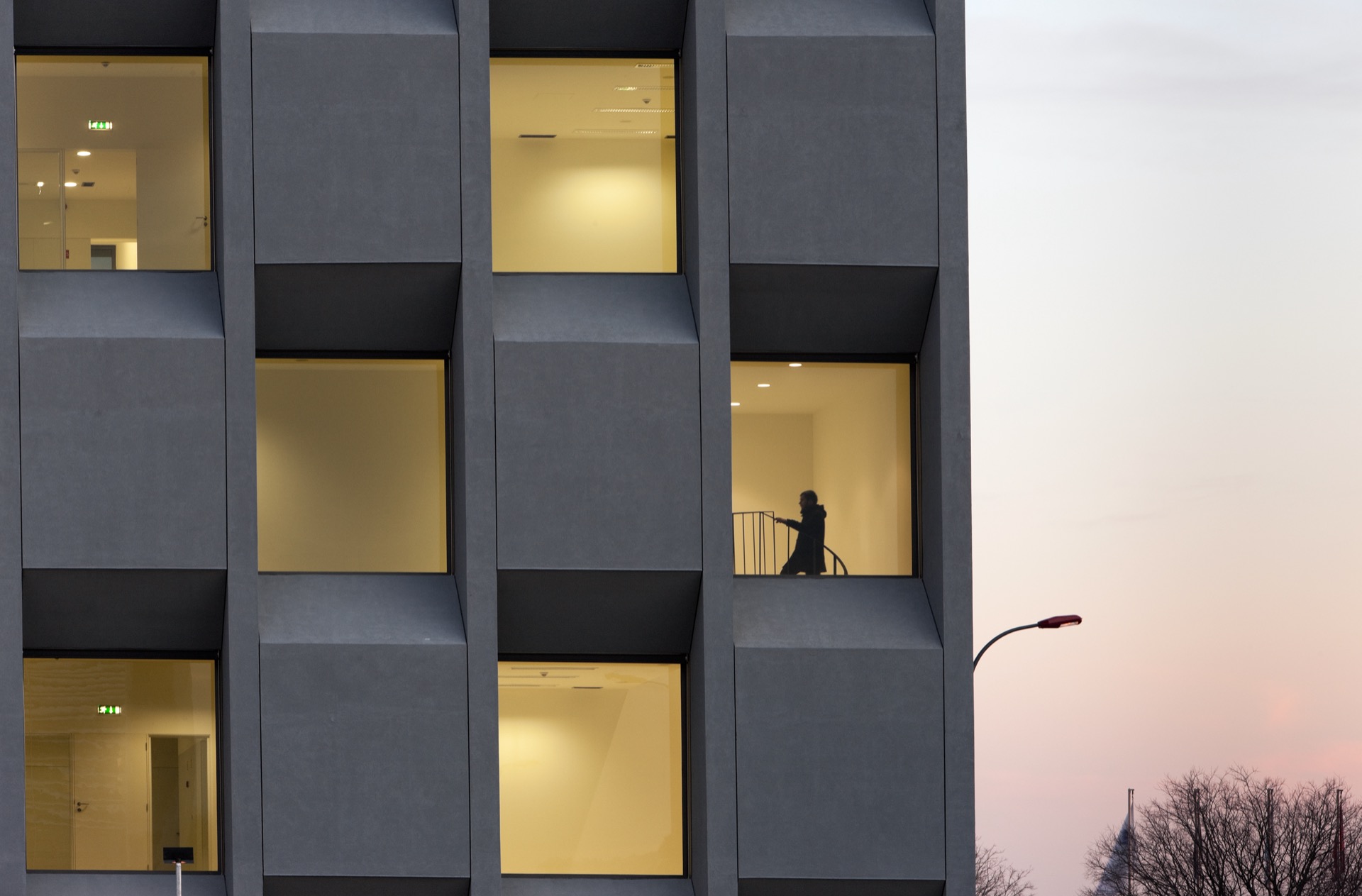 P163_LFA%20 %2024.jpeg