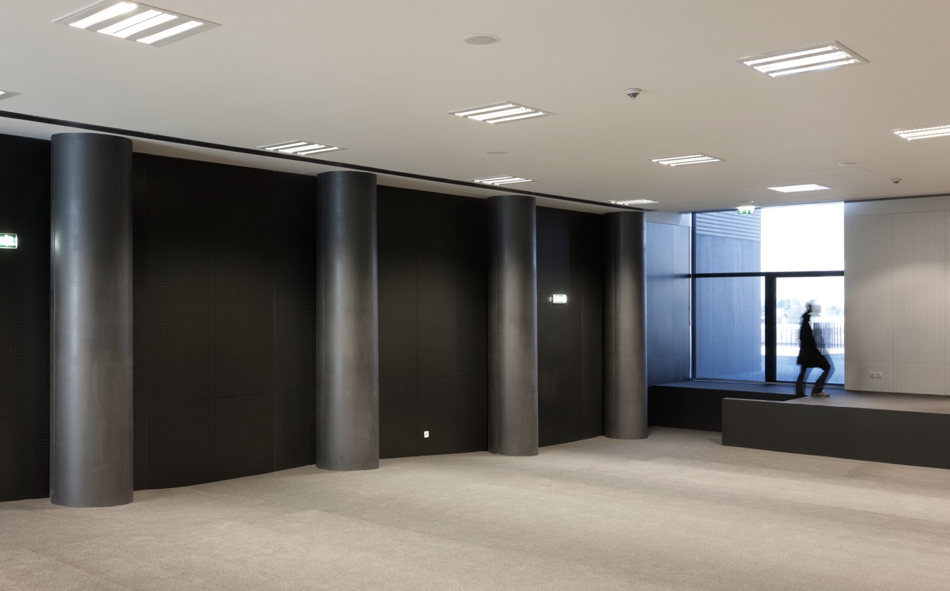 P163_LFA%20 %2019.jpeg