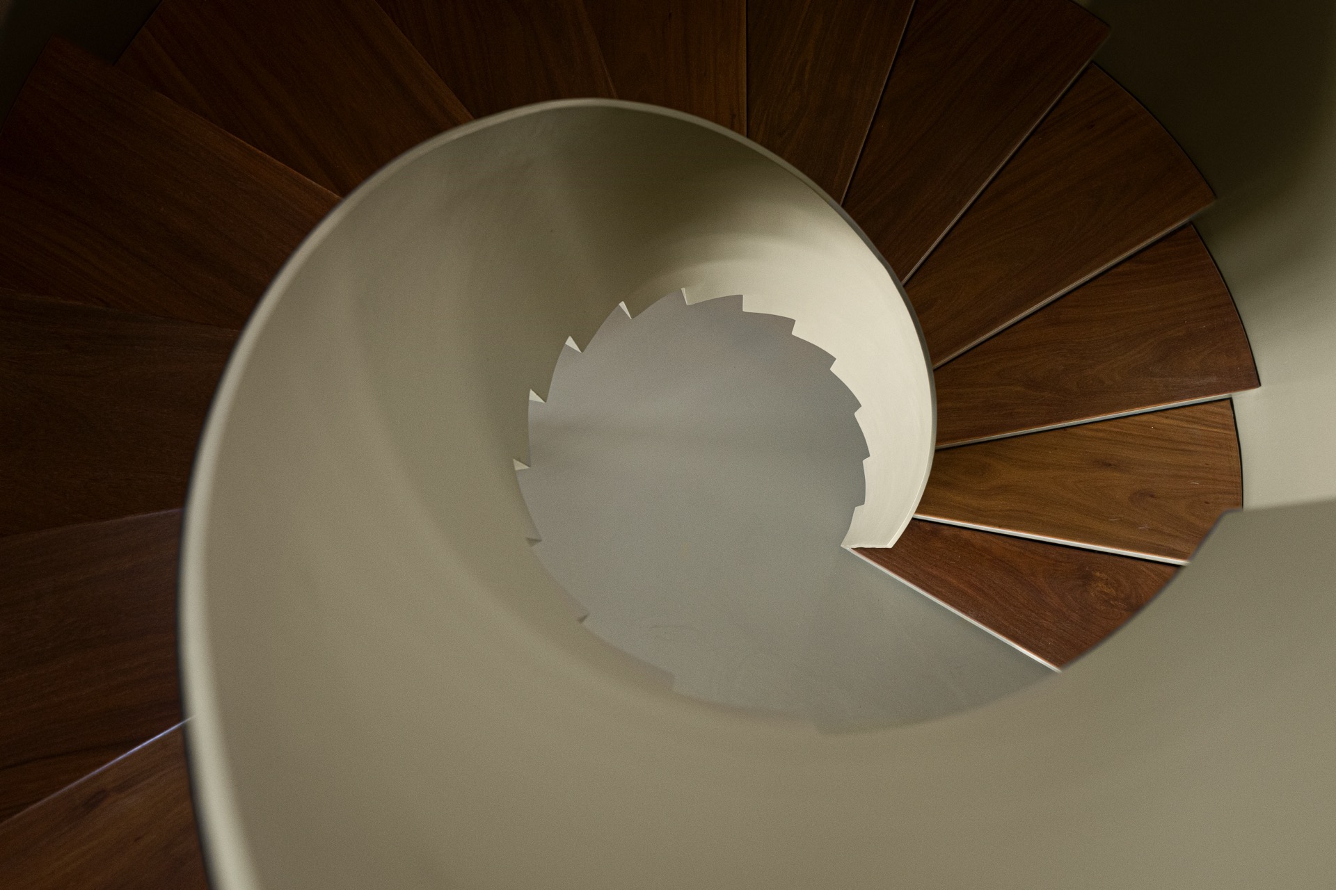 P163_LFA%20 %2024.jpeg