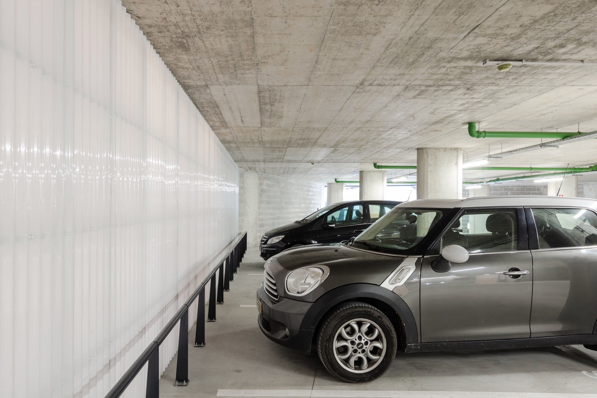 P163_LFA%20 %2024.jpeg